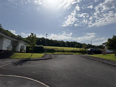 Picture 21